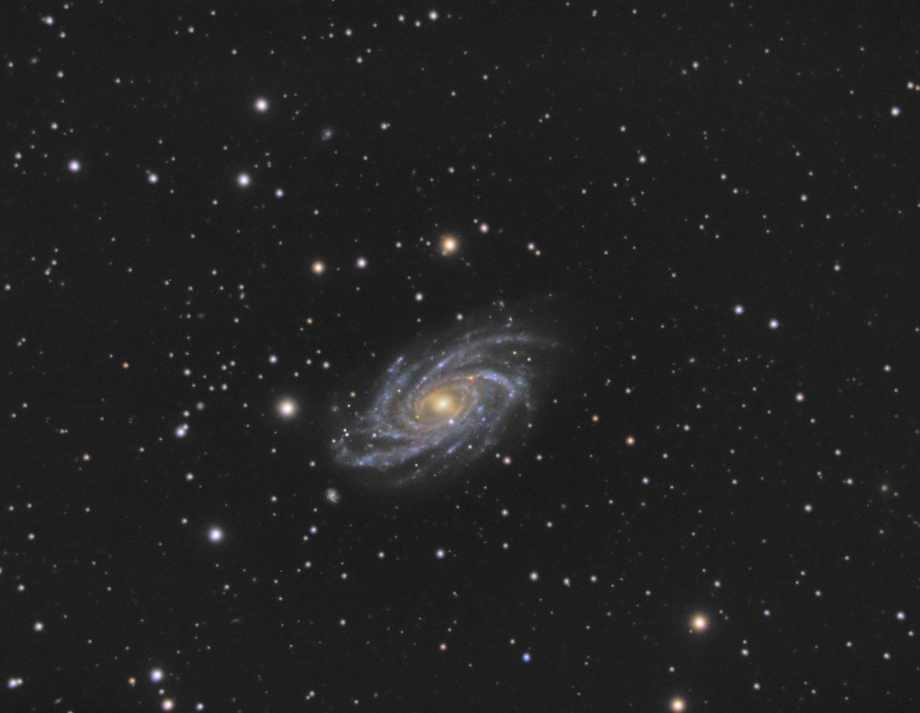 NGC2336_200422_Hauteville_les_Dijon_Patrice_Renaut.jpg